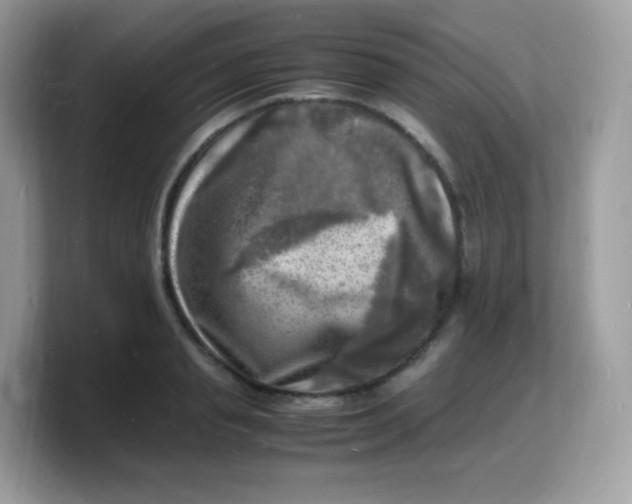 X0000103250845200809181603