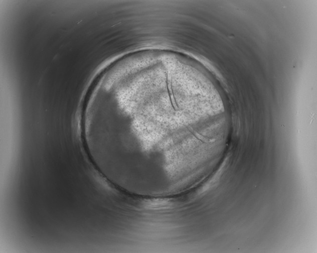 X0000103250846200809181603