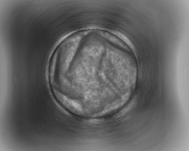 X0000103250847200809181603