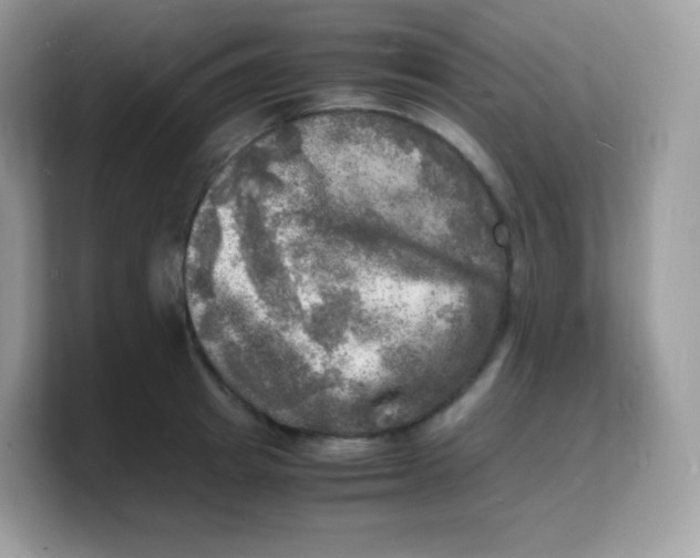 X0000103250849200809181603