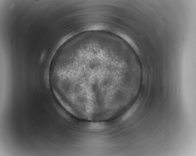 X0000103250850200809181603