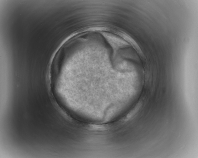 X0000103250852200809181603