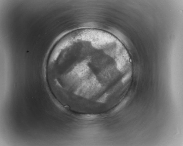 X0000103250854200809181603
