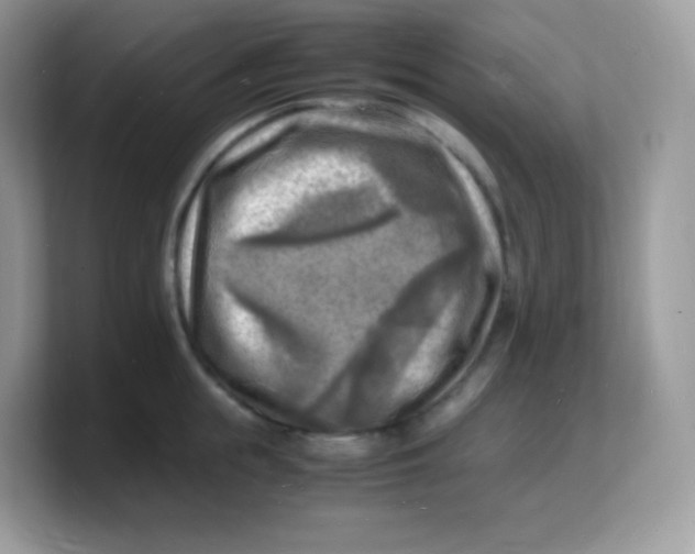 X0000103250855200809181603