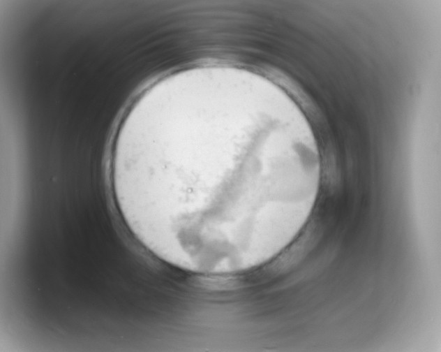 X0000103250856200809181603