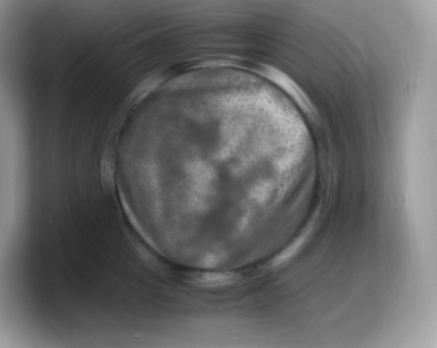 X0000103250857200809181603