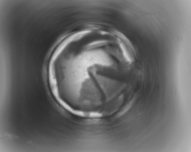 X0000103250859200809181603