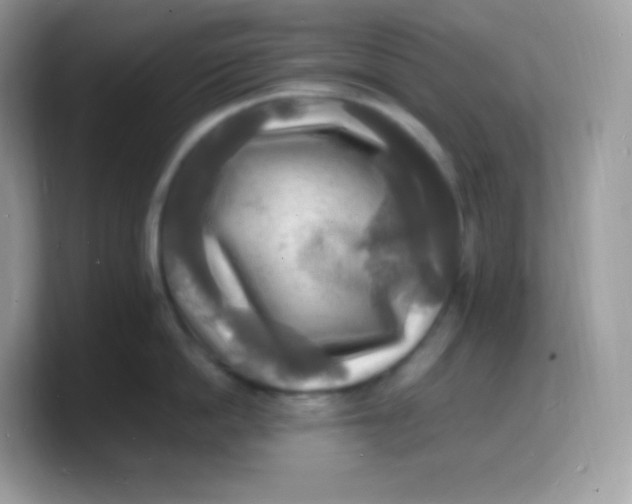 X0000103250862200809181603