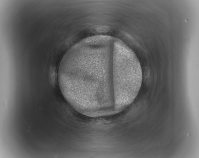 X0000103250866200809181602