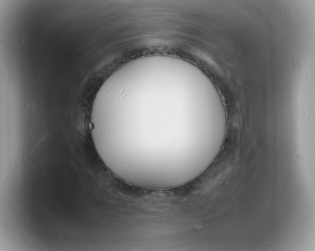 X0000103250869200809181602