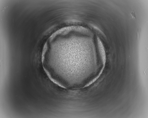 X0000103250870200809181602
