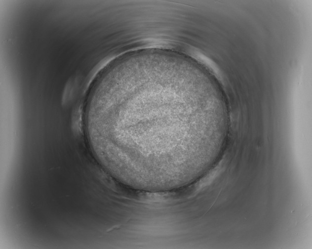 X0000103250875200809181602