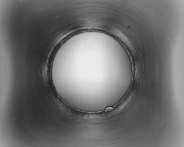X0000103250876200809181602