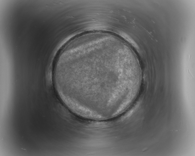 X0000103250877200809181602