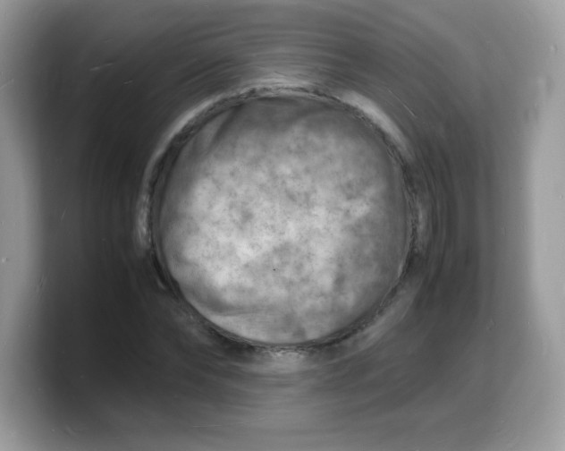 X0000103250878200809181602