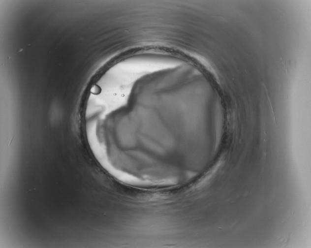 X0000103250879200809181602