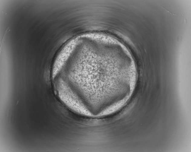 X0000103250881200809181602