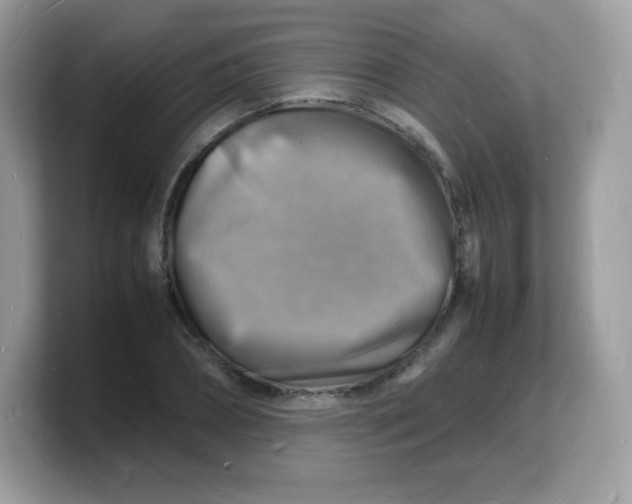 X0000103250882200809181602