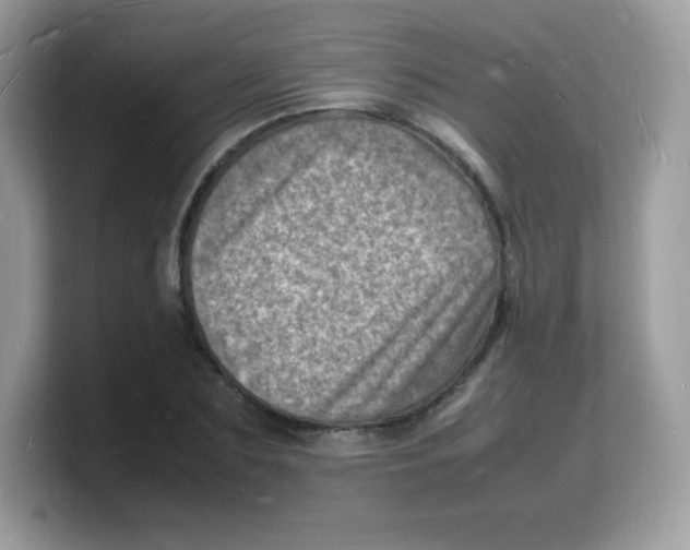 X0000103250883200809181602