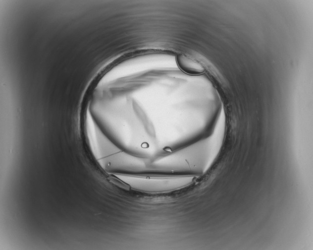X0000103250884200809181602