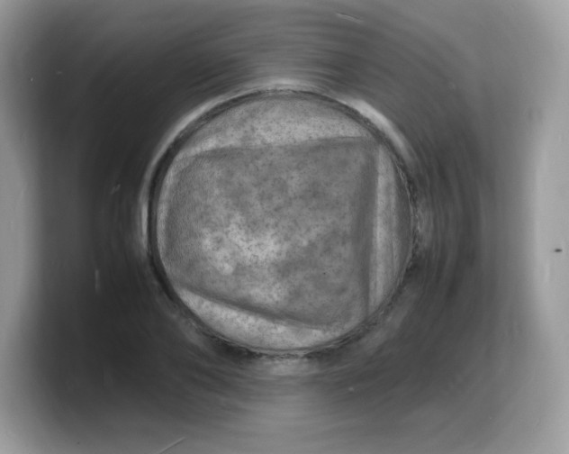 X0000103250886200809181602