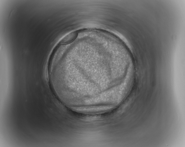 X0000103250887200809181602