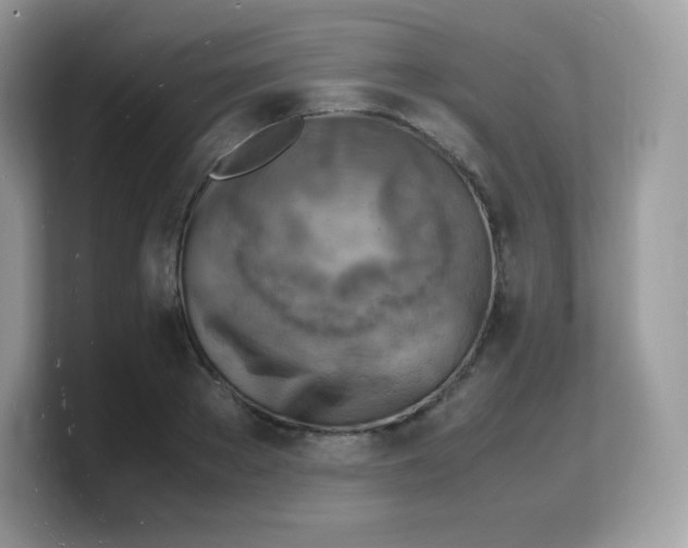 X0000103250889200809181602