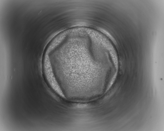 X0000103250890200809181602