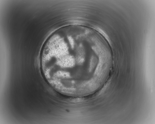 X0000103250891200809181602