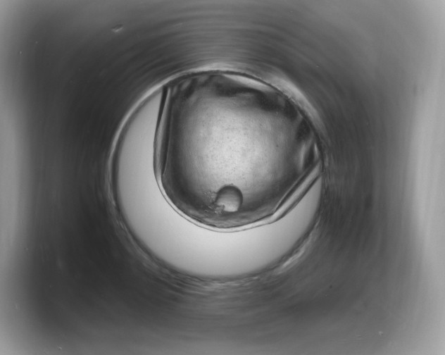 X0000103250892200809181602
