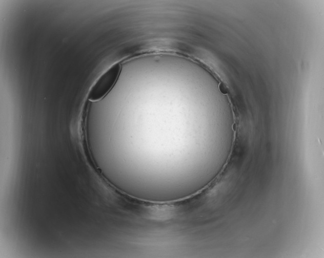 X0000103250893200809181602