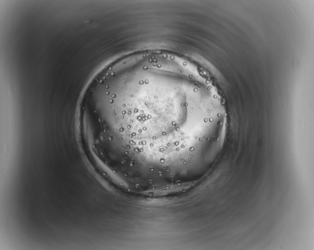 X0000103250894200809181602