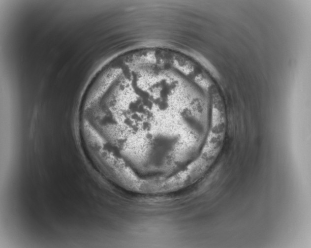 X0000103250895200809181602