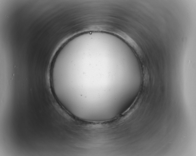 X0000103250896200809181602