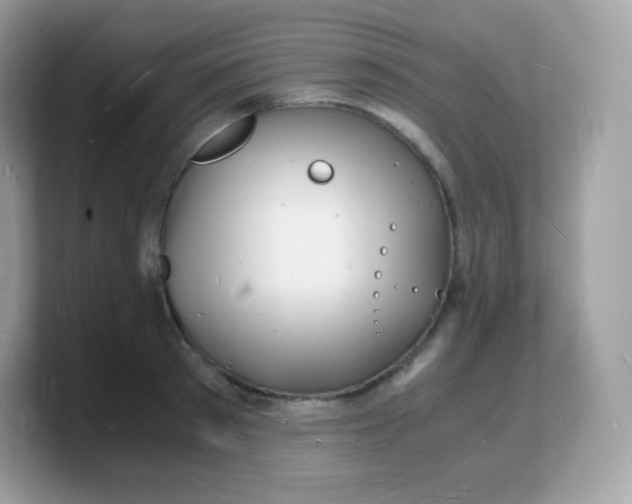 X0000103250897200809181602