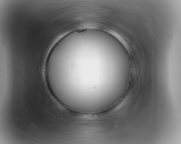 X0000103250901200809181602