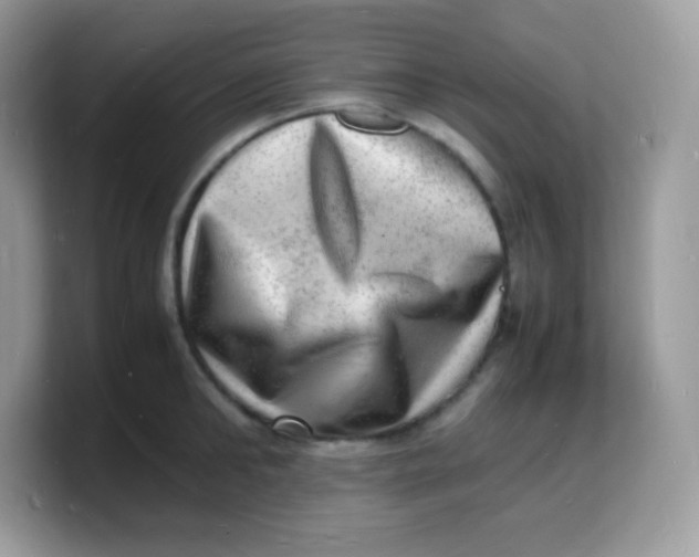 X0000103250902200809181602