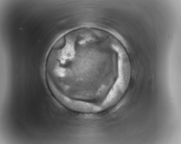 X0000103250903200809181602