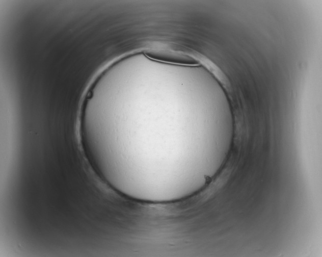 X0000103250904200809181602