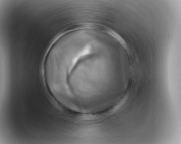 X0000103250907200809181602