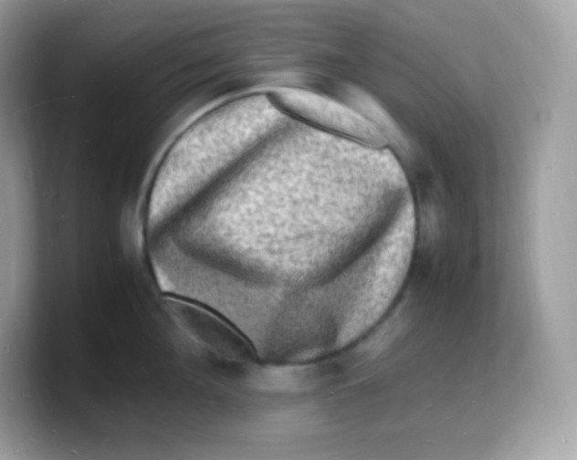 X0000103250908200809181602