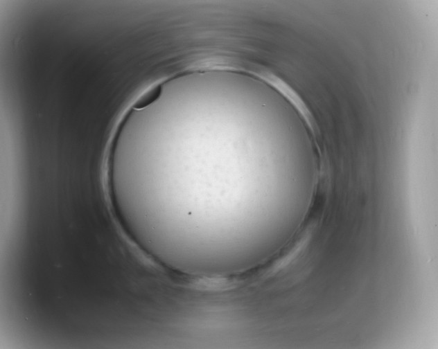 X0000103250909200809181602