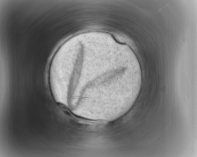 X0000103250912200809181602