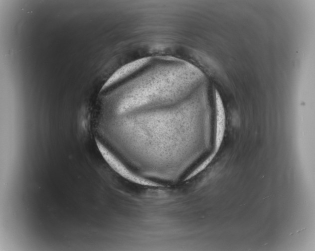 X0000103250914200809181601