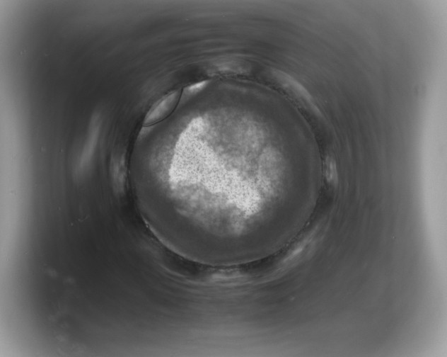 X0000103250915200809181601