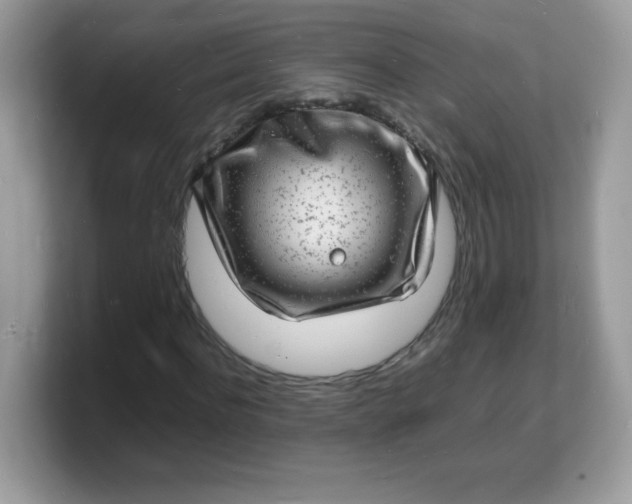 X0000103250916200809181601