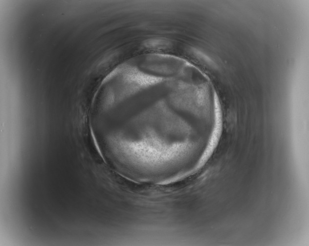 X0000103250917200809181601