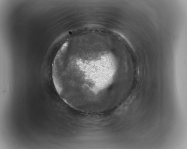 X0000103250919200809181601