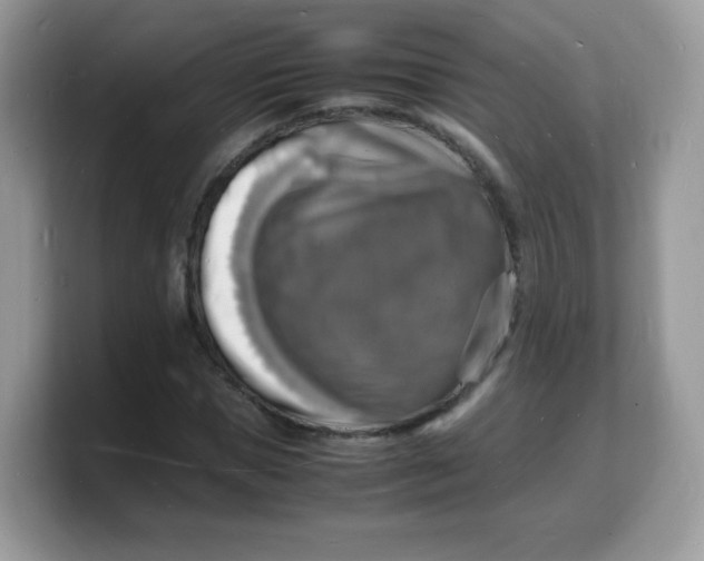 X0000103250921200809181601