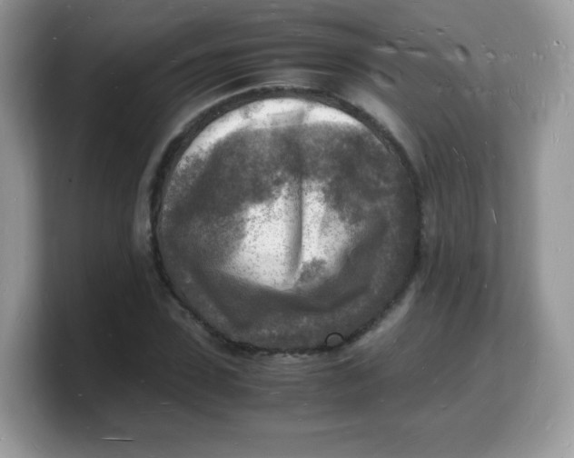 X0000103250923200809181601